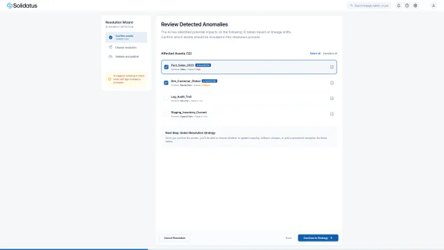 Solidatus guided resolution wizard